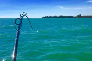 125 Pago Pago Dr E, Naples, FL 34113 - Photo 36