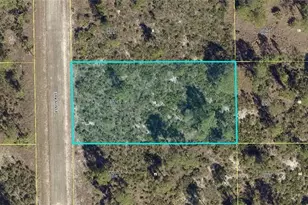 504 Louis Ave, Lehigh Acres, FL 33972 - Photo 1