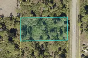 1313 Palmetto Ave, Lehigh Acres, FL 33972 - Photo 1