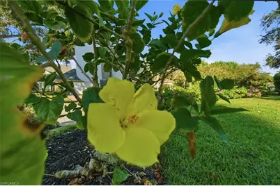 716 Pitch Apple Ln, Naples, FL 34108 - Photo 12