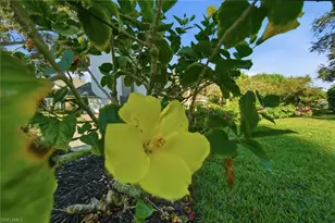 716 Pitch Apple Ln, Naples, FL 34108 - Photo 12