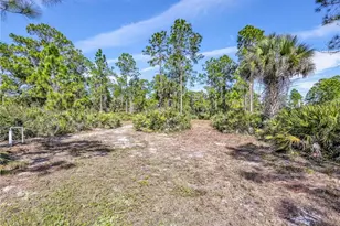 2007 22nd Ave NE, Naples, FL 34120 - Photo 42