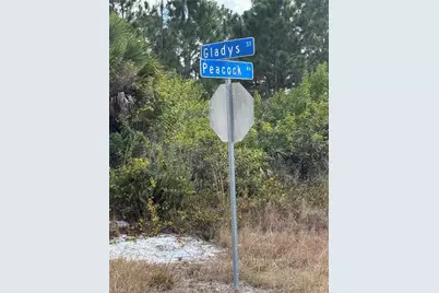 [Address not provided], Lehigh Acres, FL 33974 - Photo 4