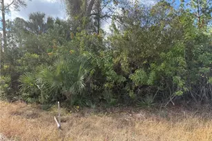 County St E, Lehigh Acres, FL 33974 - Photo 1