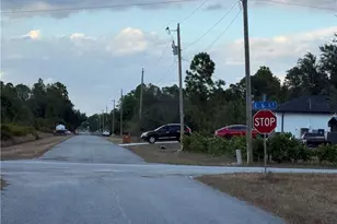 521 Fitch Ave, Lehigh Acres, FL 33972 - Photo 4