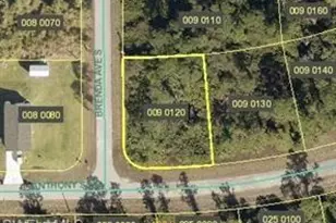 925 Anthony St E, Lehigh Acres, FL 33974 - Photo 1