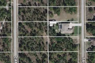 1213 Truman Ave, Lehigh Acres, FL 33972 - Photo 1