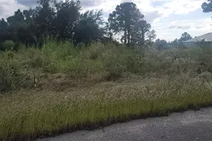 4204 E 19th St, Lehigh Acres, FL 33972 - Photo 2