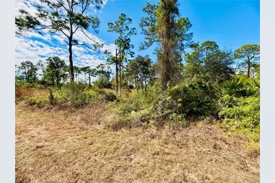 2007 Truman Ave, Alva, FL 33920 - Photo 4