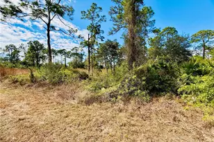 2007 Truman Ave, Alva, FL 33920 - Photo 4