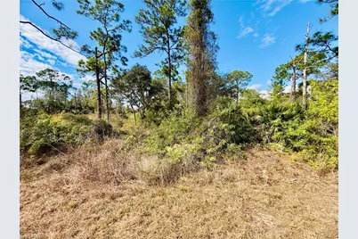 2007 Truman Ave, Alva, FL 33920 - Photo 2