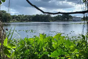 18011 River Chase Ct, Alva, FL 33920 - Photo 6