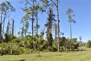 4553 Midland St, North Port, FL 34288 - Photo 12