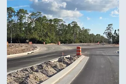 13541 E Terry St, Bonita Springs, FL 34135 - Photo 4