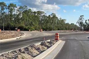 13541 E Terry St, Bonita Springs, FL 34135 - Photo 4