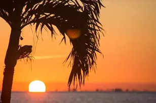 5 Bluebill Ave, Naples, FL 34108 - Photo 32