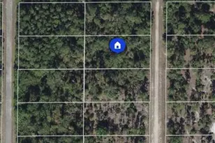 1519 Maple Ave N, Lehigh Acres, FL 33972 - Photo 1