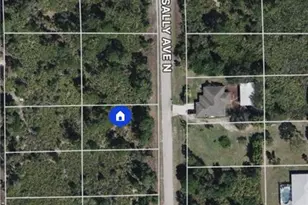 6007 Sally Ave N, Lehigh Acres, FL 33971 - Photo 1