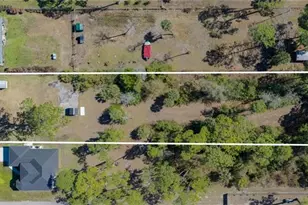 1960 22nd Ave NE, Naples, FL 34120 - Photo 16