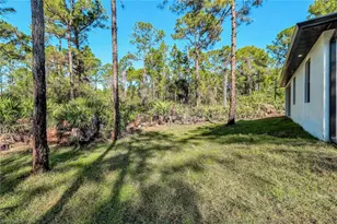 2113 Grayson Ave, Alva, FL 33920 - Photo 24