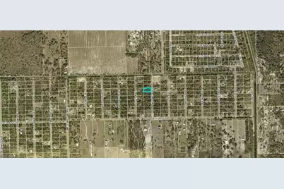 2315 Moore Ave, Alva, FL 33920 - Photo 4