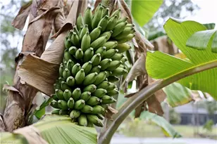 12 35th Ave NW, Naples, FL 34120 - Photo 40