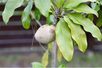 12 35th Ave NW, Naples, FL 34120 - Photo 42