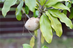 12 35th Ave NW, Naples, FL 34120 - Photo 42