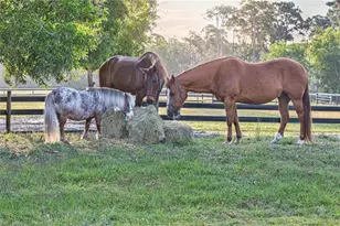 6050 Stringfellow Rd, Other, FL 33956 - Photo 4