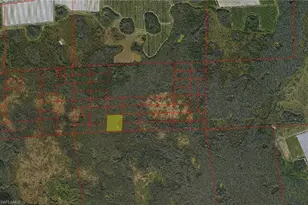 Access Undetermined, Naples, FL 34142 - Photo 1