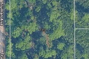 1310 Truman Ave, Lehigh Acres, FL 33972 - Photo 1