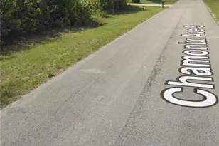 528 Chamonix Ave S, Lehigh Acres, FL 33974 - Photo 2