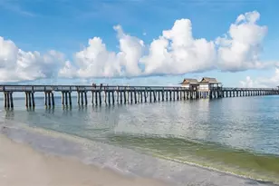 981 Hampton Cir, Naples, FL 34105 - Photo 30