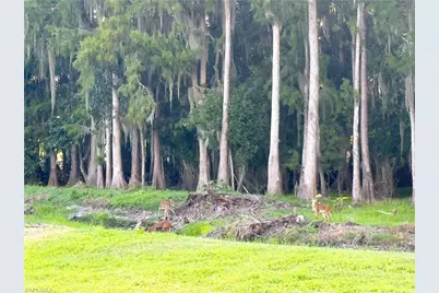 6023 Ellerston Way #1816, Ave Maria, FL 34142 - Photo 30