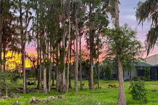 6023 Ellerston Wy, Ave Maria, FL 34142 - Photo 2