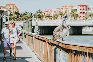 7270 Saona CT, Naples, FL 34113 - Photo 48