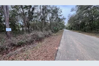 3176 E John Ln, Inverness, FL 34453 - Photo 2