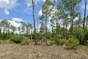 705 Monroe Ave, Lehigh Acres, FL 33972 - Photo 1