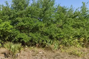 616 Clayton Ave, Lehigh Acres, FL 33972 - Photo 1