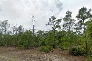 203 Wellington Ave, Lehigh Acres, FL 33936 - Photo 1