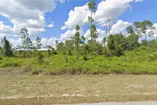 1141 Damen St E, Lehigh Acres, FL 33974 - Photo 1