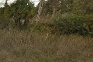 1009 Bell Blvd S, Lehigh Acres, FL 33974 - Photo 1