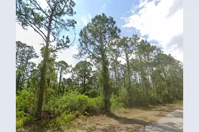 2007 Monroe Ave, Alva, FL 33920 - Photo 1