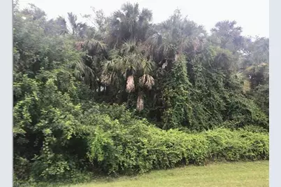 Xxx 14th Ave NW, Naples, FL 34120 - Photo 1