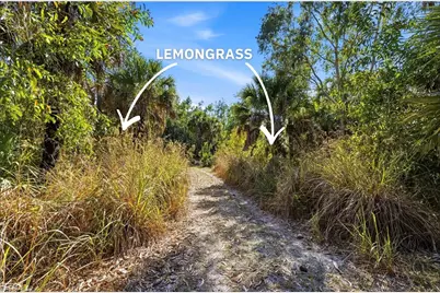 630 Pioneer Trl, Naples, FL 34117 - Photo 10