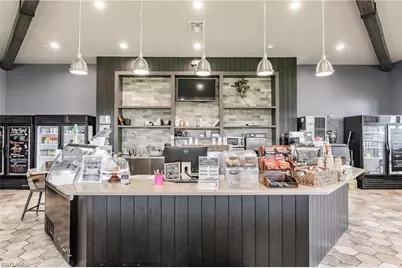 17671 Brooksin Ct, Estero, FL 33928 - Photo 46