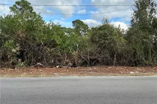 52 Gene Ave S, Lehigh Acres, FL 33976 - Photo 1