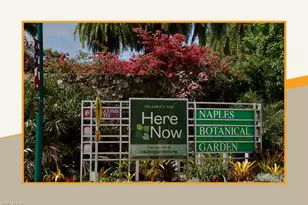 3862 Grove Circle, Naples, FL 34112 - Photo 8