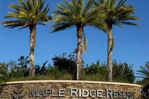 5344 Allen Pl, Ave Maria, FL 34142 - Photo 42