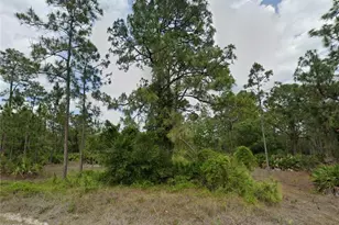 806 Canton Ave, Lehigh Acres, FL 33972 - Photo 1